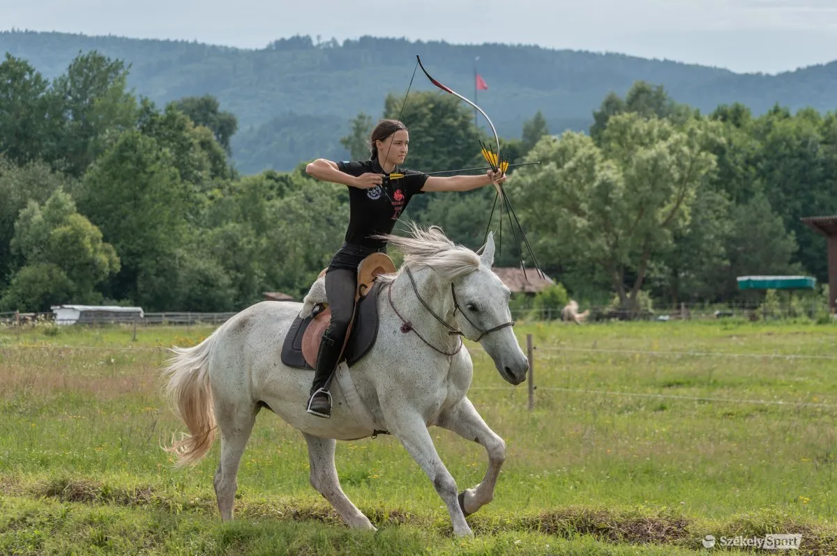 Un arcaș ecvestru în galop pe un cal sur, cu arcul întins.